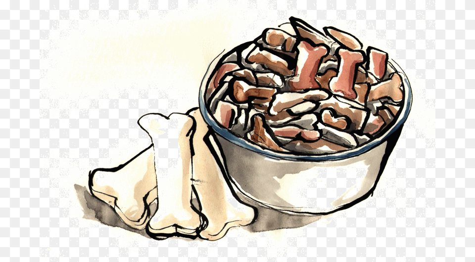 Nut, Face, Head, Person, Cream Free Transparent Png