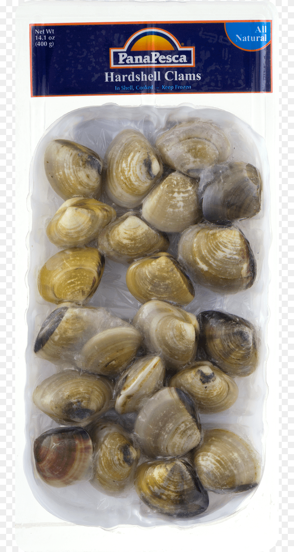 Nut, Animal, Clam, Food, Invertebrate Free Png