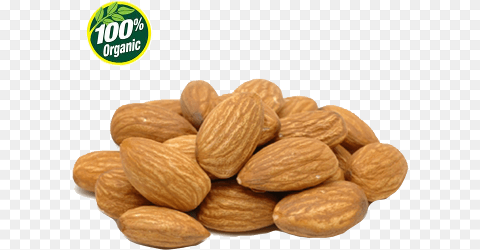 Nut, Almond, Food, Grain, Produce Free Png