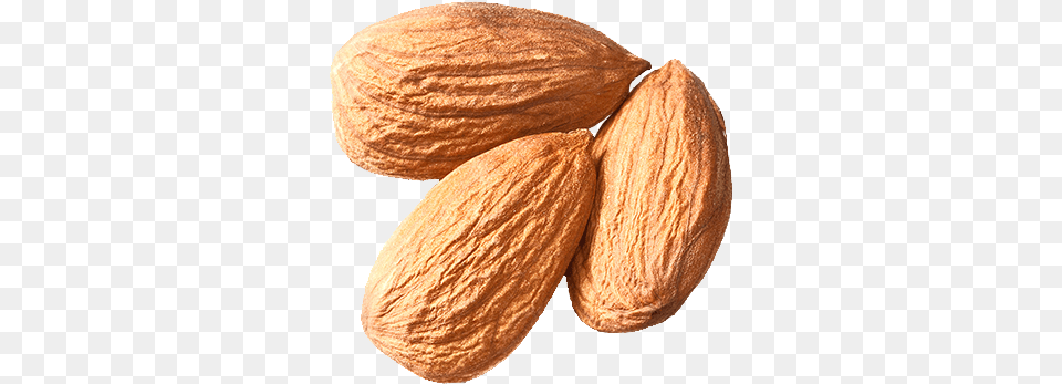 Nut Almond Plant Nuts Seeds, Food, Produce, Grain, Seed Free Transparent Png