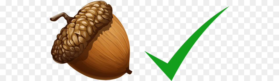 Nut Check Acorn, Food, Plant, Produce, Vegetable Free Png