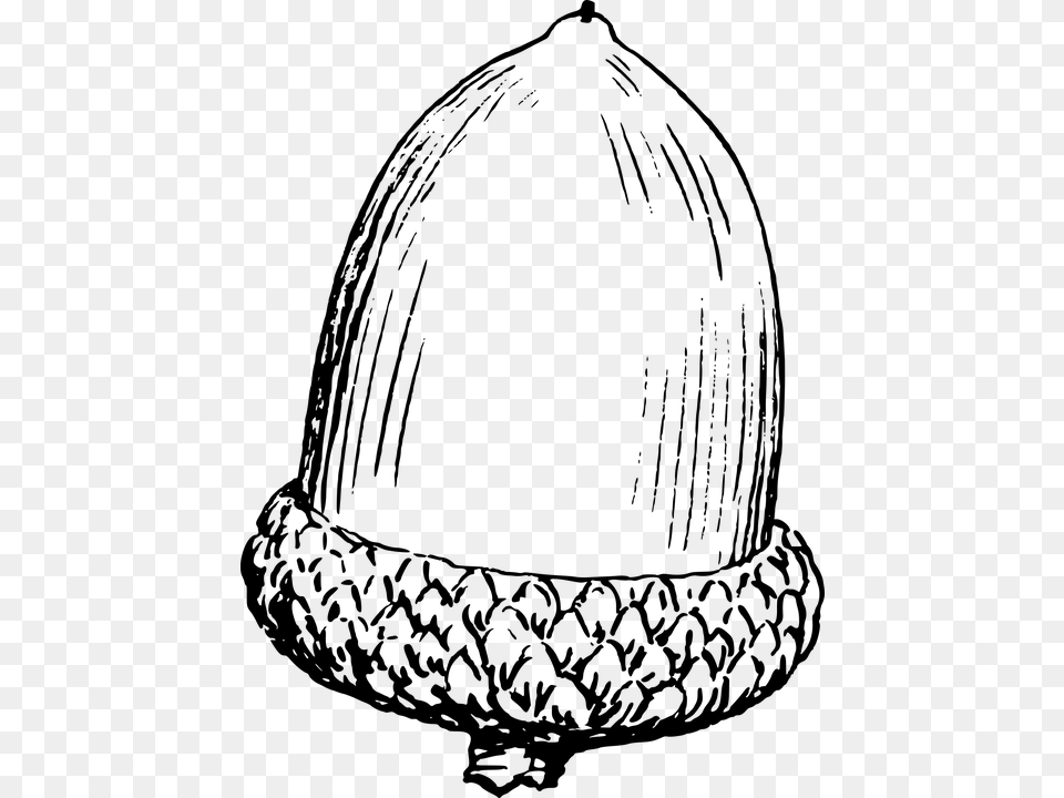 Nut Clipart Acorn, Gray Free Png