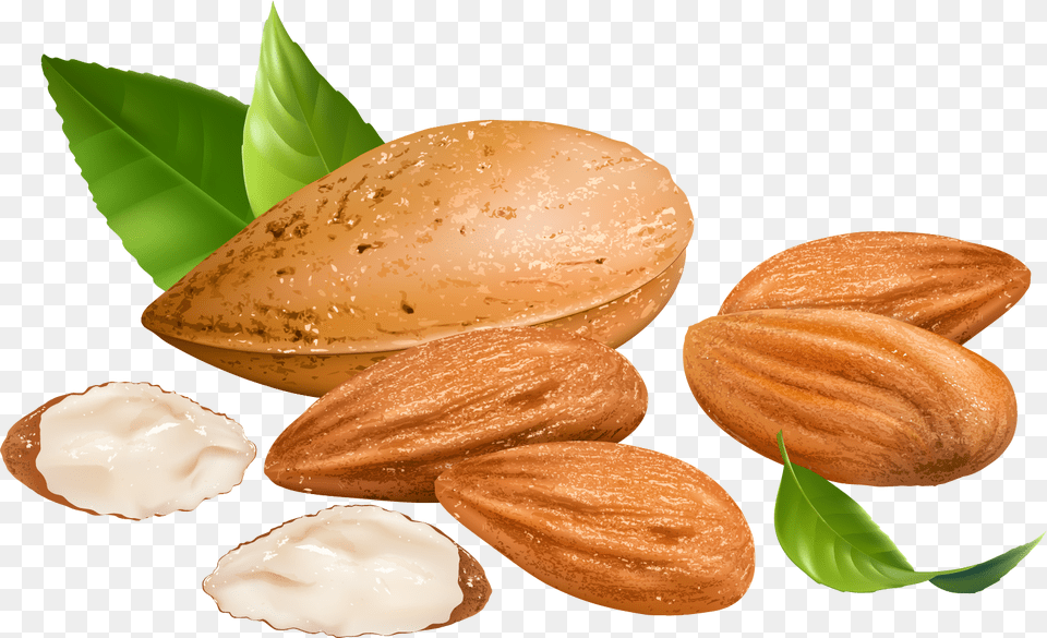 Nut Clipart Badam Almond Vector, Food, Grain, Produce, Seed Free Png Download