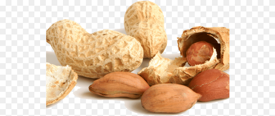 Nut Clipart Transparent Background Transparent Background Peanut Clipart, Food, Plant, Produce, Vegetable Png Image