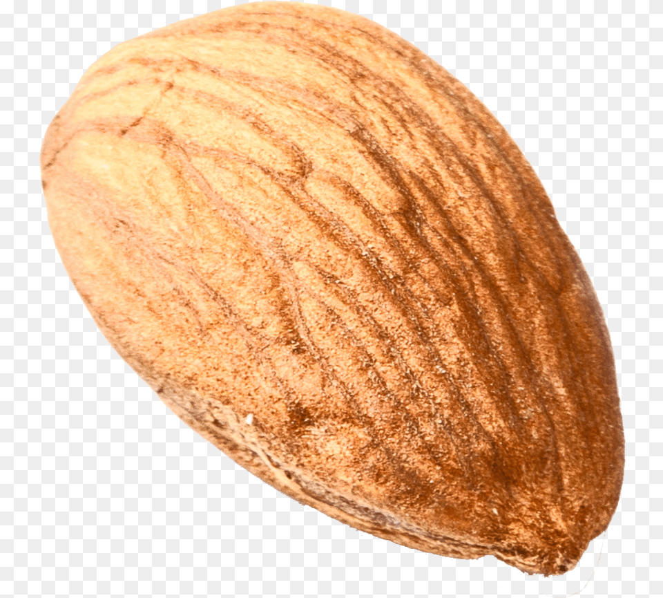 Nut Download Image, Almond, Food, Grain, Produce Png