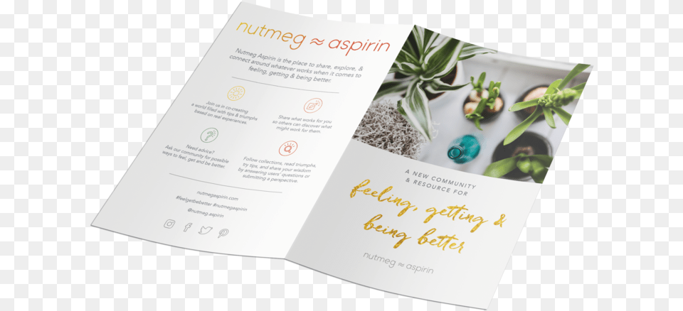 Nut Mockup Leaflet 2xdl 4 Christmas Tree, Advertisement, Poster, Business Card, Paper Png