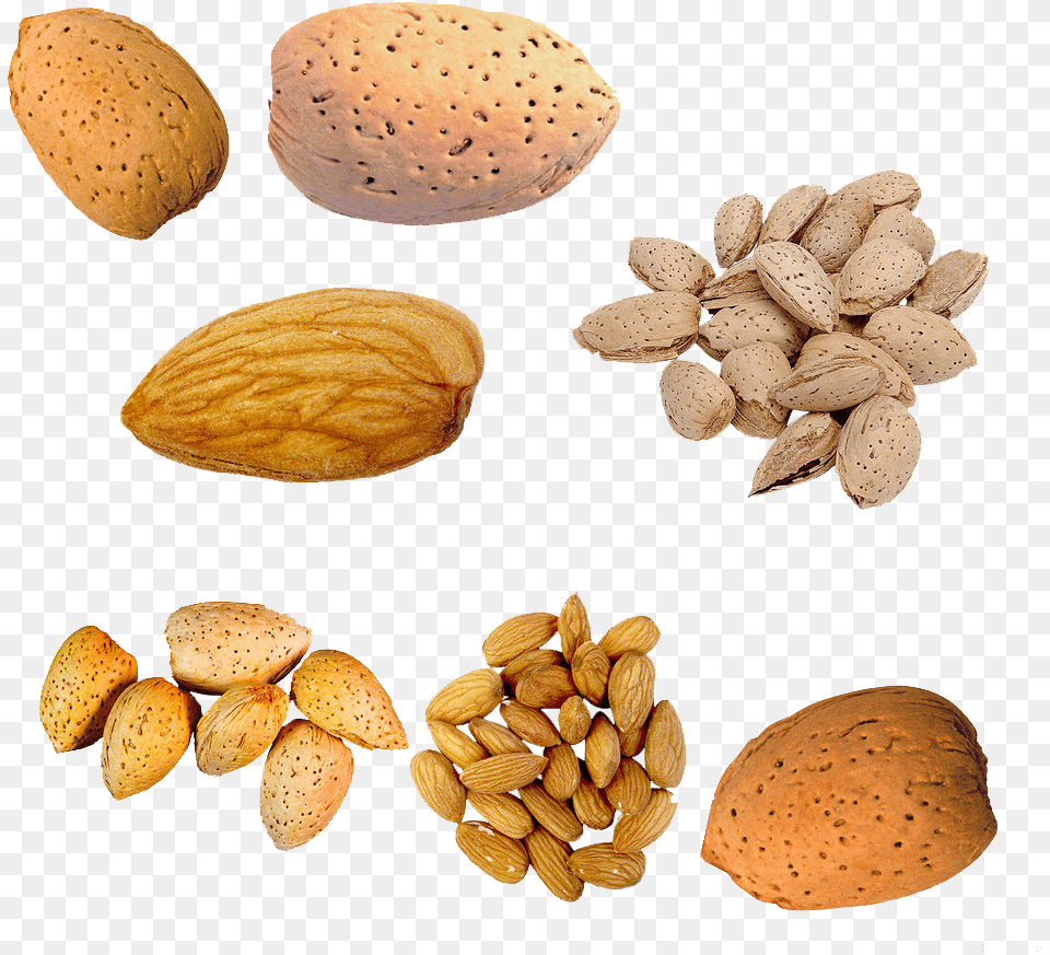Nut U Cu Du Almond In Peach Nut, Food, Fungus, Grain, Plant Free Png