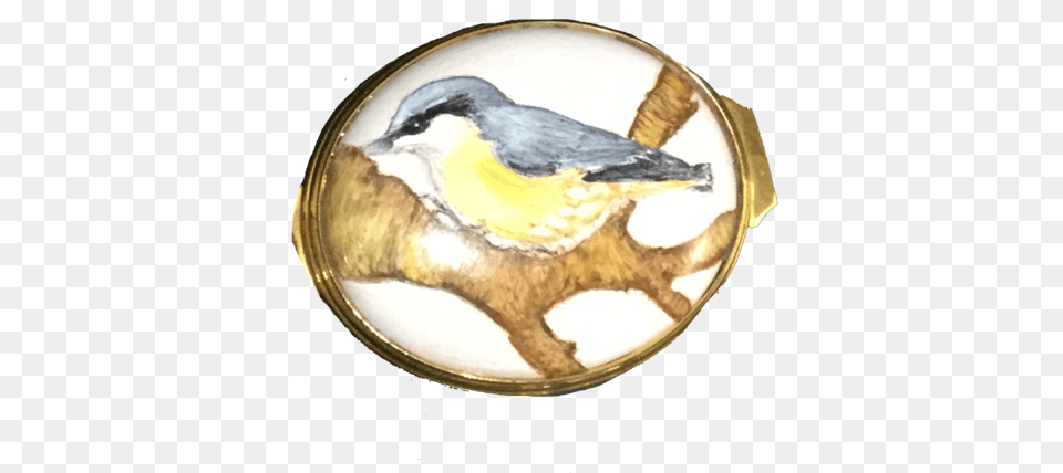 Nuthatch Limited Edition 1 Of Mountain Bluebird, Animal, Bird, Logo, Accessories Free Png Download