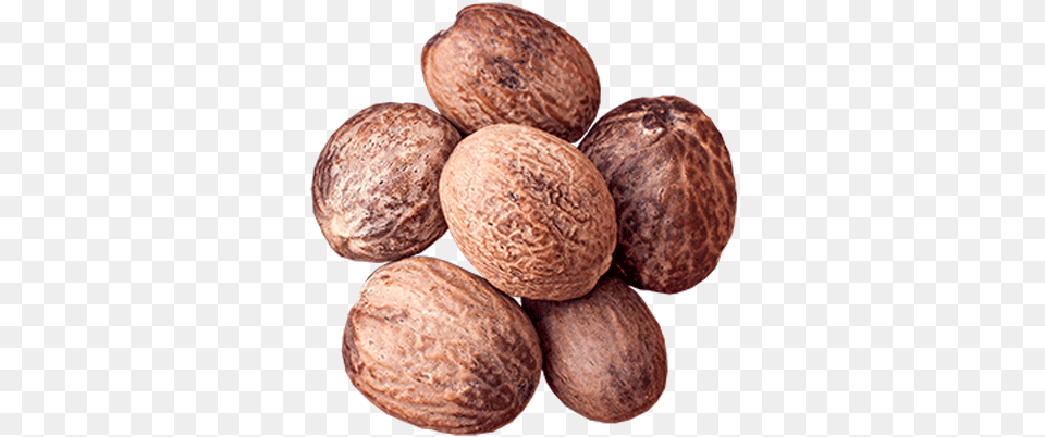 Nutmeg Walnut, Food, Nut, Plant, Produce Free Transparent Png