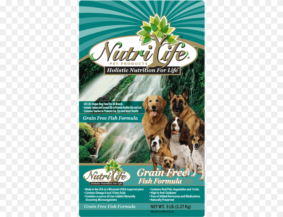 Nutri Life Dog Food, Advertisement, Poster, Canine, Animal Free Transparent Png