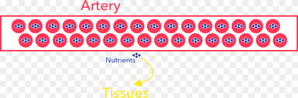 Nutrients Circle Free Transparent Png