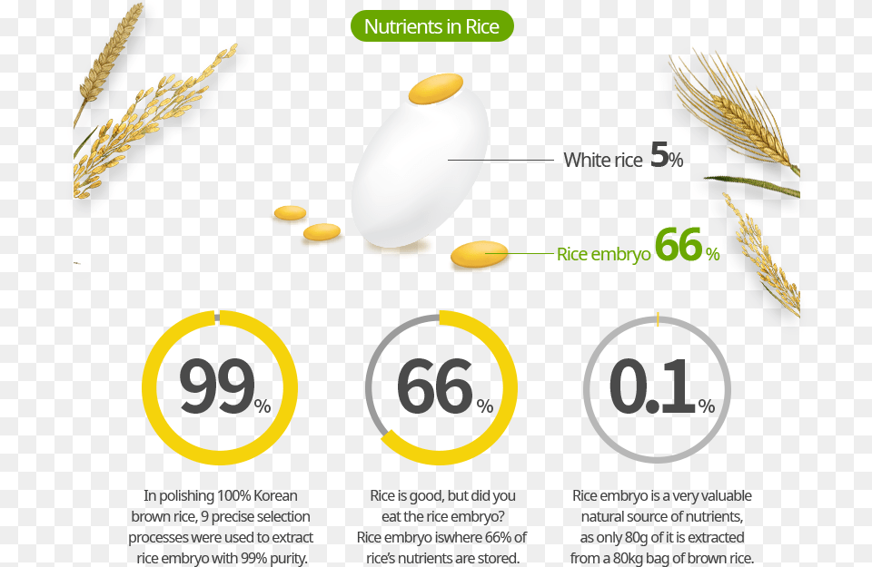 Nutrients In Rice, Egg, Food, Produce, Advertisement Free Png