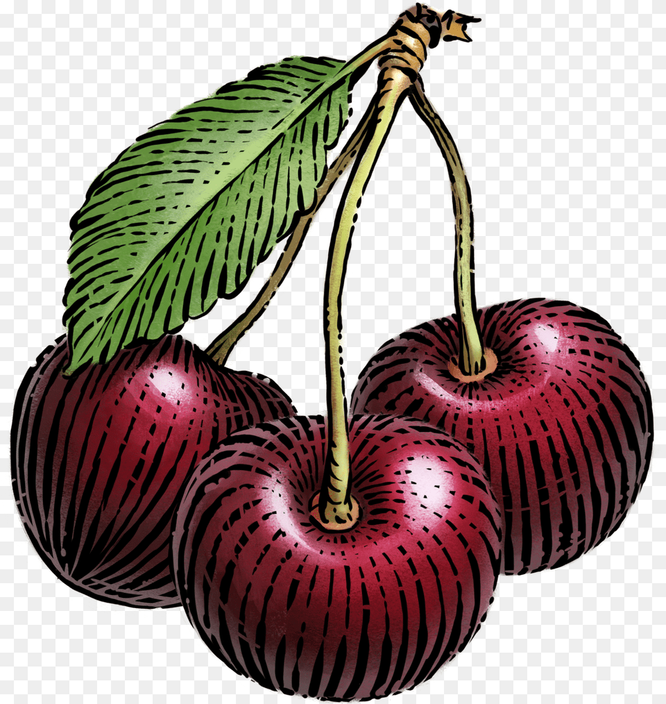 Nutrition Facts Siggi39s Black Cherry Yogurt, Food, Fruit, Plant, Produce Free Transparent Png