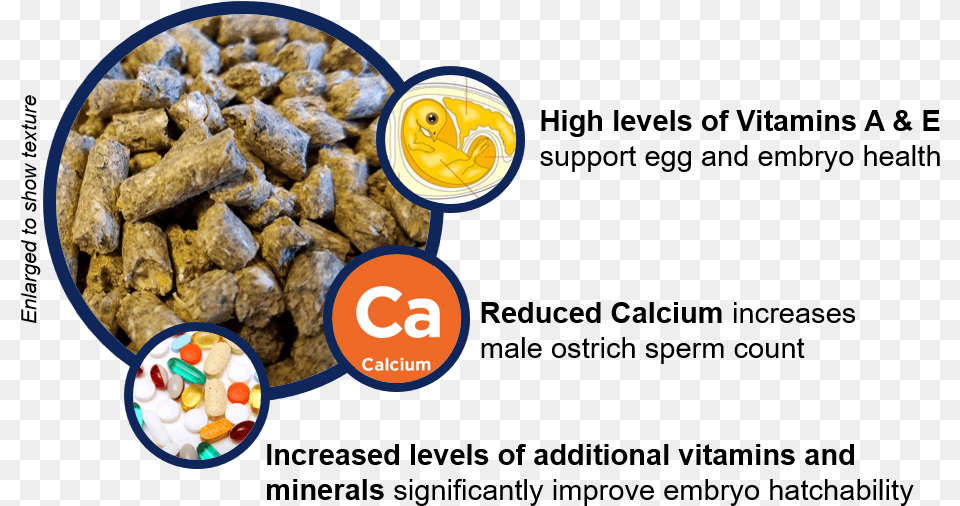 Nutritional Benefits Of Breeder Ostrich Feedclass Superfood, Food, Snack Png Image