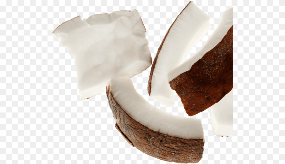 Nutritional Still Life Photography, Coconut, Food, Fruit, Plant Free Transparent Png