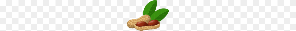Nuts, Food, Nut, Plant, Produce Free Png