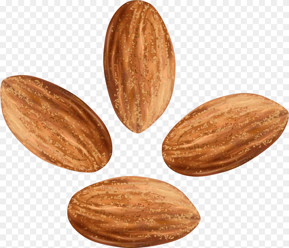 Nuts Free Png Download