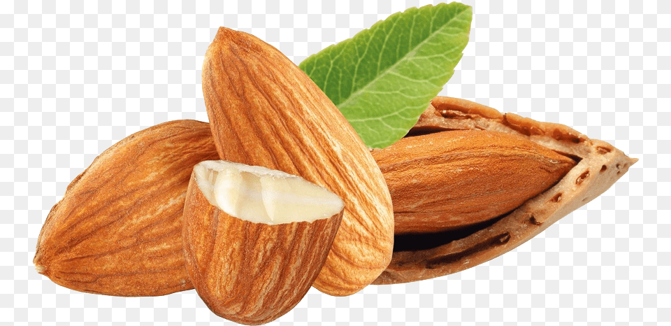 Nuts Almond Dried Fruit Frutos Secos, Food, Grain, Produce, Seed Free Png