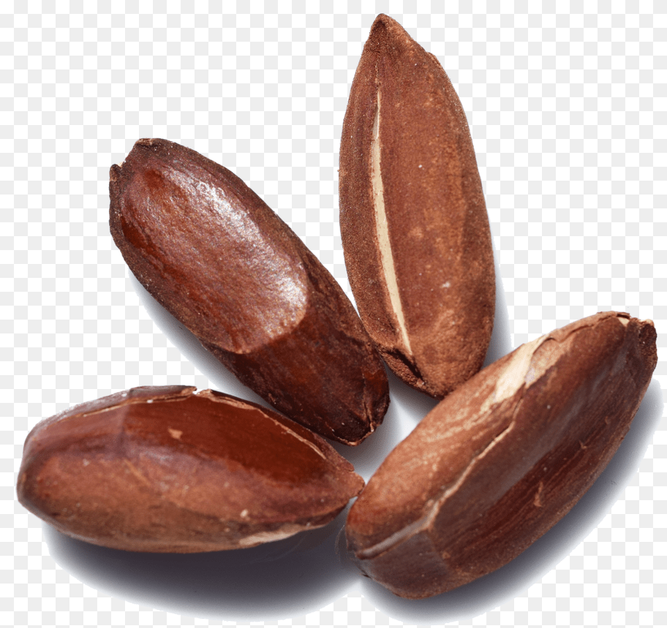 Nuts Amp Seeds, Food, Produce, Bread, Nut Free Transparent Png