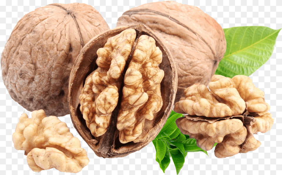 Nuts Fatty Walnut Clipart, Food, Nut, Plant, Produce Png Image