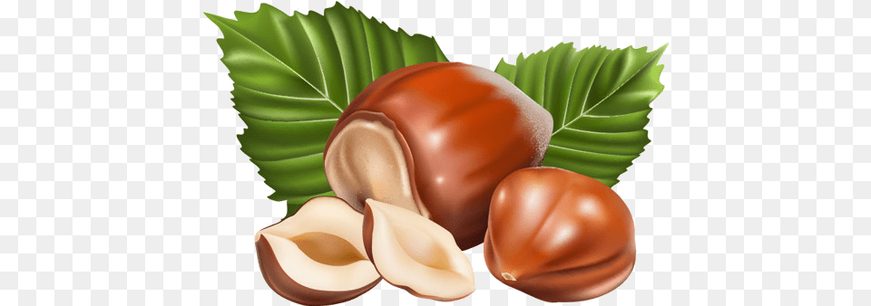 Nuts Vector, Food, Nut, Plant, Produce Png Image