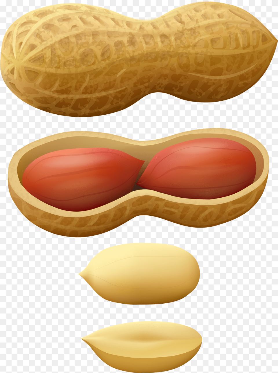 Nuts Vector Ground Nut Peanuts Clipart, Food, Peanut, Plant, Produce Png Image