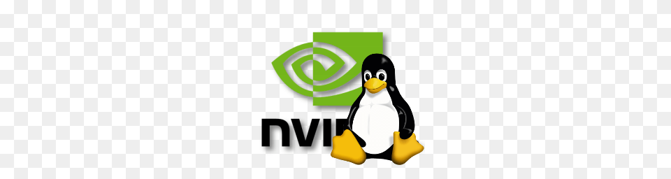 Nvidia Beta Support For Opencl Works On Linux Too, Animal, Bird, Penguin Png