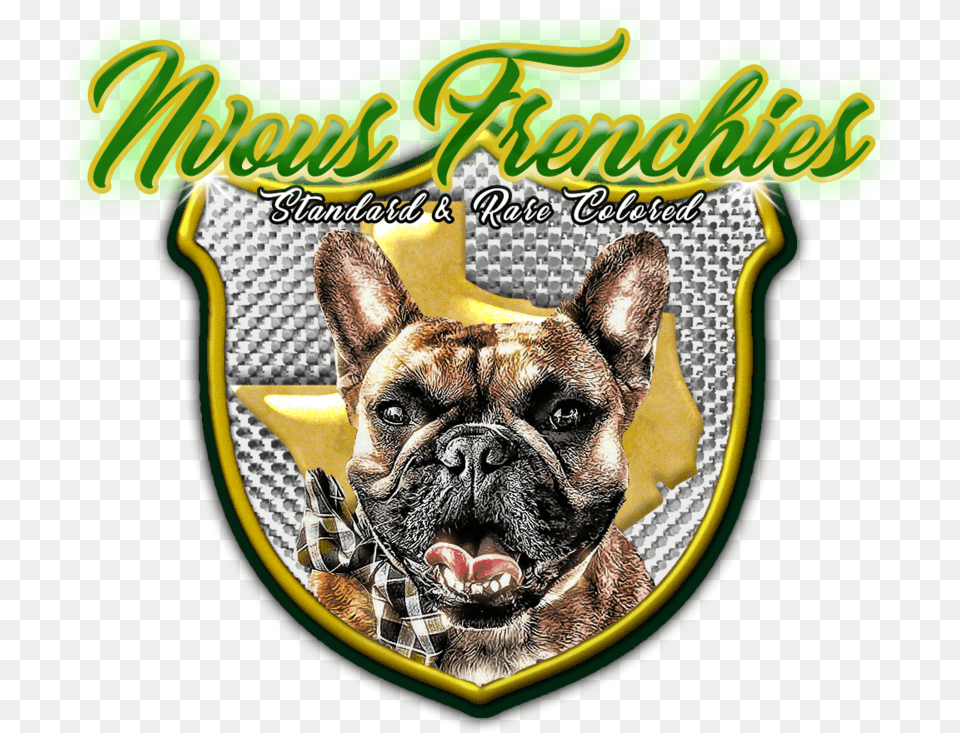 Nvous Frenchies Logo, Animal, Canine, Dog, Mammal Png Image