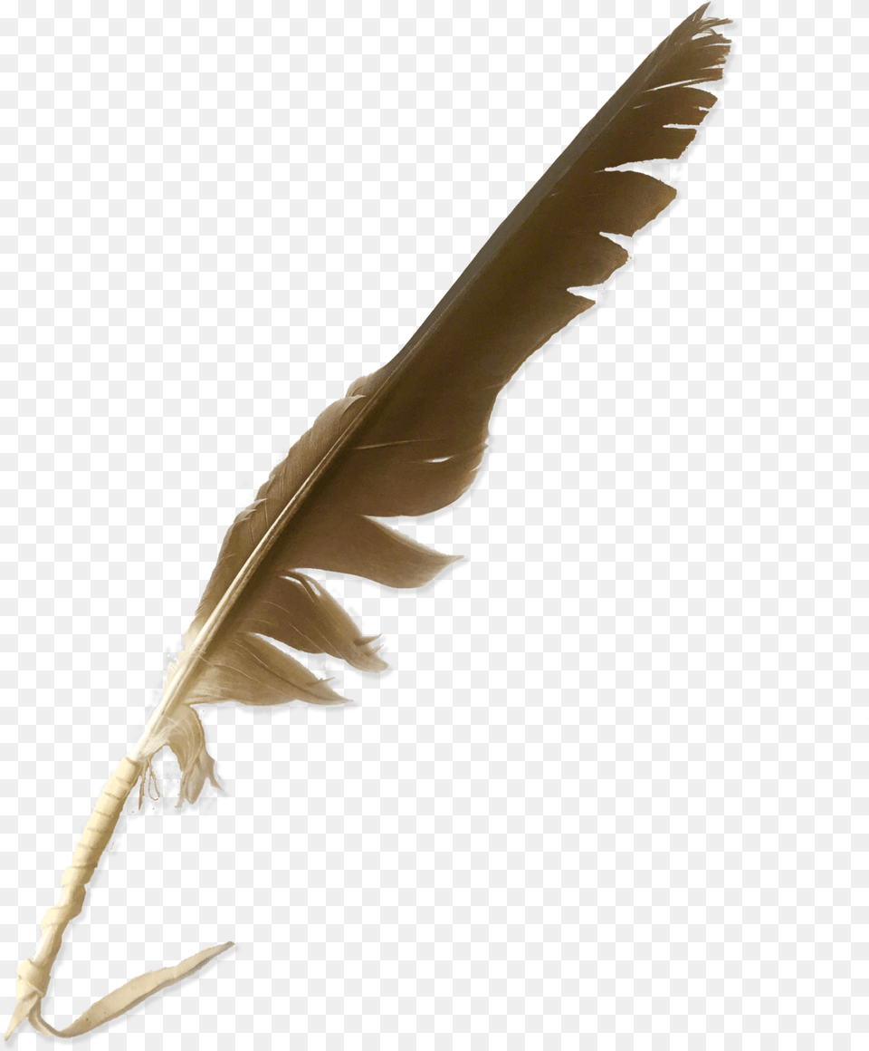 Nw Animal Product, Bottle, Bird Png
