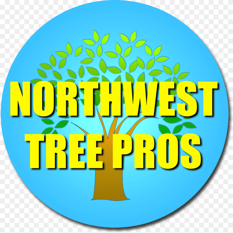 Nw Tree Pros Offers 247 On Call Emergency Tree Services You Might Be From Nova Scotia If, Plant, Vegetation Free Transparent Png