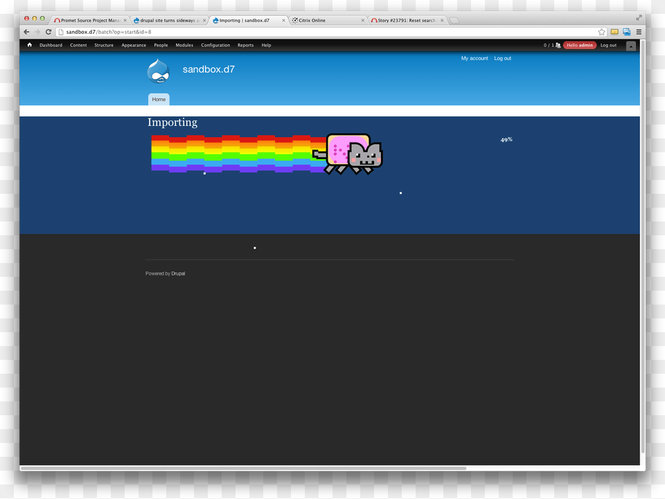 Nyan Cat, File, Webpage, Electronics, Screen Png Image