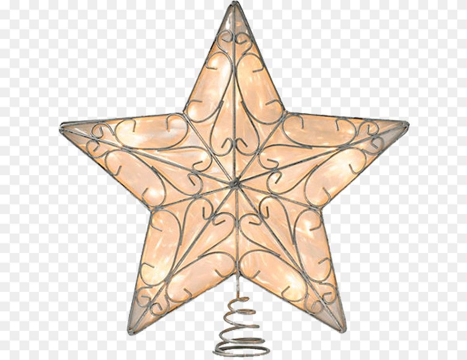 Nyc Tree Shop Transparent, Star Symbol, Symbol, Animal, Fish Png