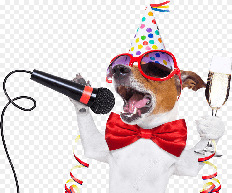Nye Dog Party Copy Happy Birthday Dog Jack Russell, Hat, Microphone, Clothing, Electrical Device Free Png Download