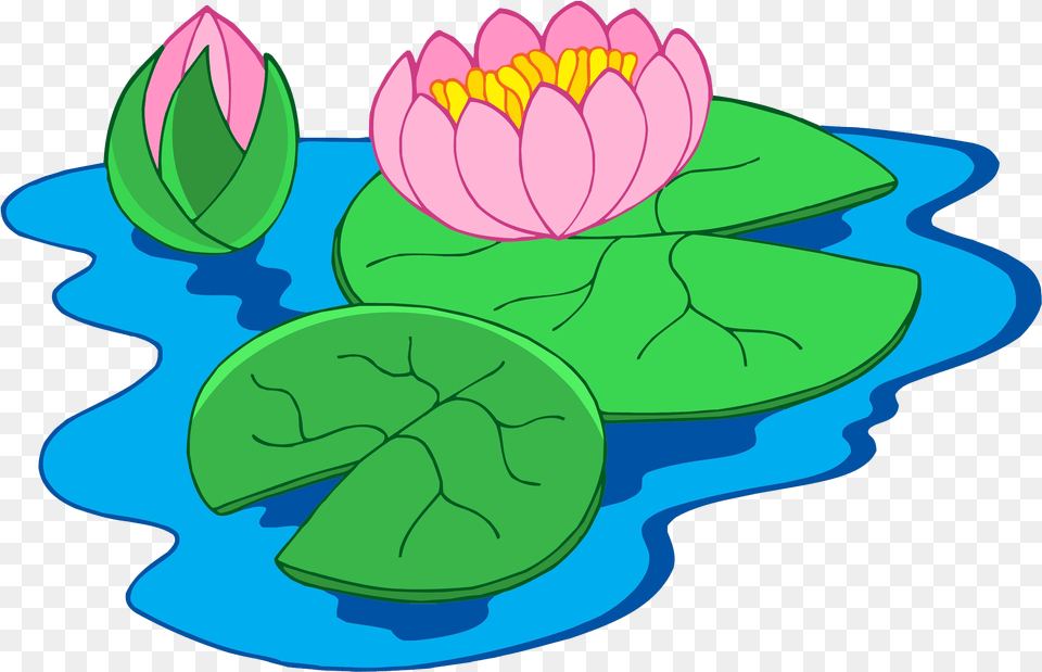 Nymphaea Alba Clip Art Clip Art Of Water Lily Water Lily Plant Clipart, Flower, Pond Lily, Leaf Png Image