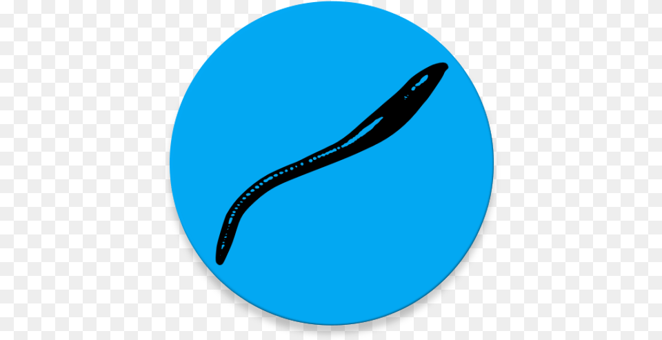 Nzb Leech Language, Astronomy, Moon, Nature, Night Png Image