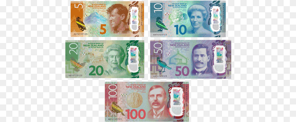 Nzbanknotes New Zealand Dollar Notes, Adult, Person, Woman, Female Free Png