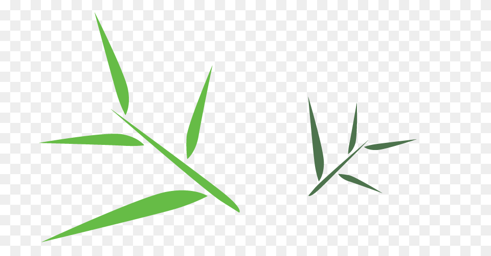 Oak, Leaf, Plant, Grass Png