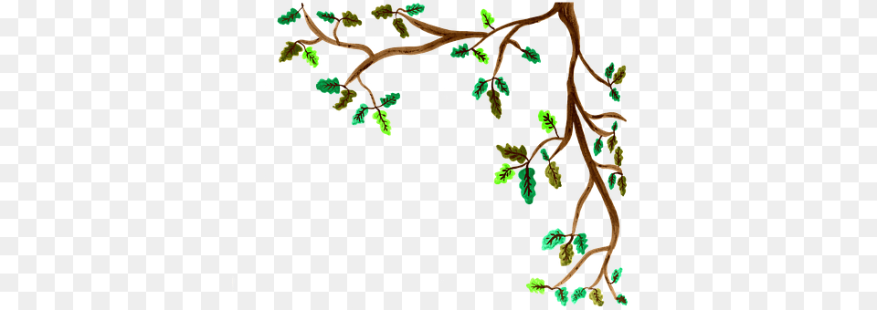 Oak Art, Vegetation, Tree, Graphics Free Transparent Png