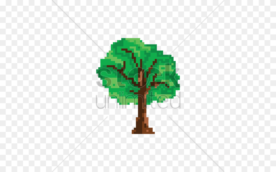 Oak, Plant, Sycamore, Tree, City Free Png