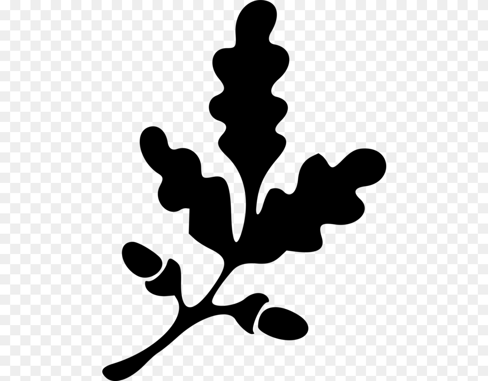 Oak Branch Tree Leaf Twig, Gray Free Transparent Png