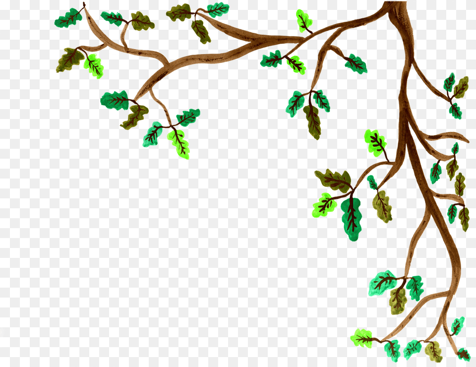 Oak Branch Watercolor Clip Art Tree Branches, Vegetation, Plant, Painting, Green Free Png Download