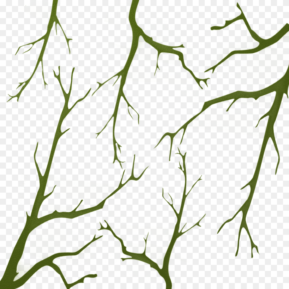 Oak Branches Camo Stencil, Green, Plant Free Transparent Png