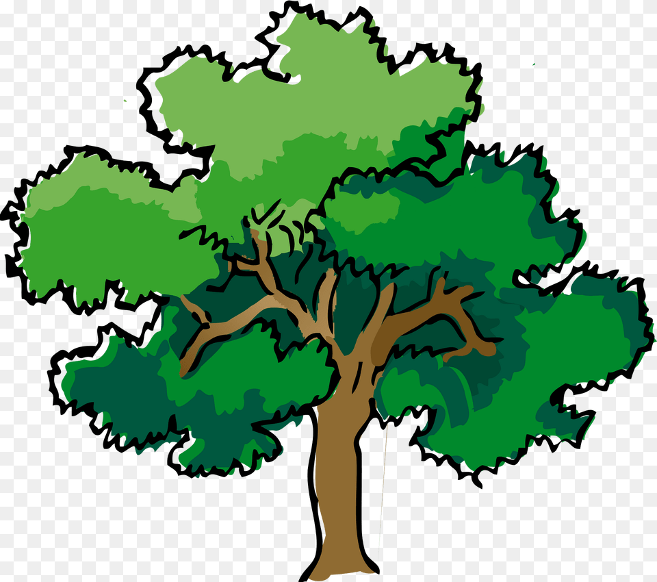 Oak Clipart, Plant, Tree, Sycamore, Vegetation Png