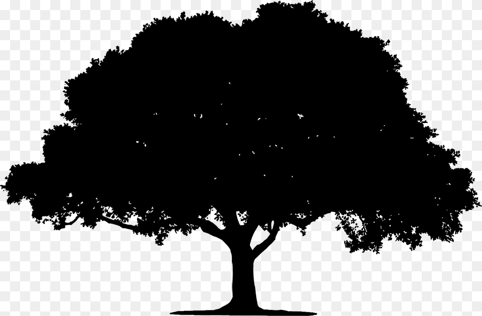 Oak Clipart Tree Silhouette Frames Illustrations Oak Tree Silhouette, Gray Free Transparent Png