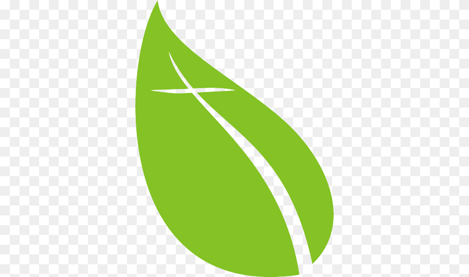 Oak Grove Leaf Kentucky, Green, Herbal, Herbs, Plant Png