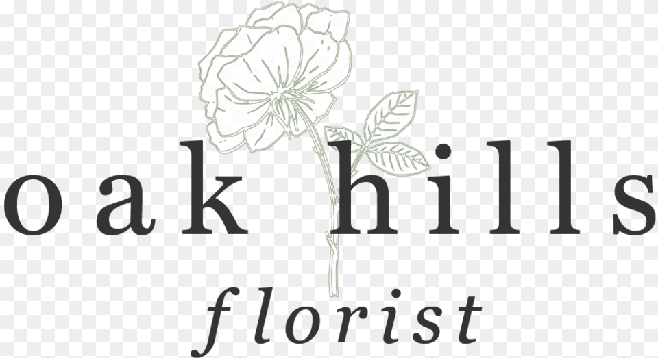 Oak Hills Florist Calligraphy, Leaf, Plant, Flower, Petal Png
