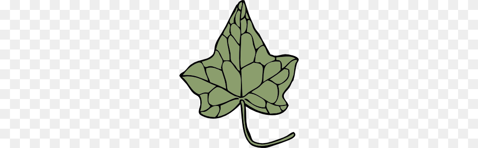 Oak Ivy Leaf Clip Art, Plant, Maple Leaf, Ammunition, Grenade Free Png Download