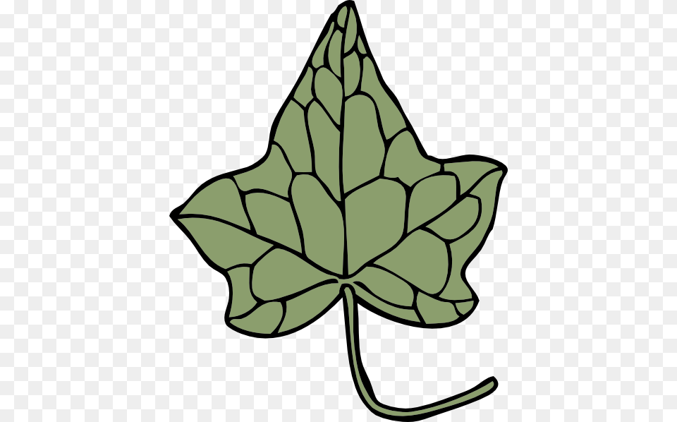 Oak Ivy Leaf Clip Arts Download, Plant, Maple Leaf, Animal, Fish Png Image