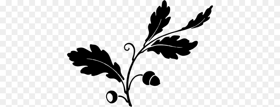 Oak Leaf And Acorns Silhouette Vector Drawing, Gray Png Image