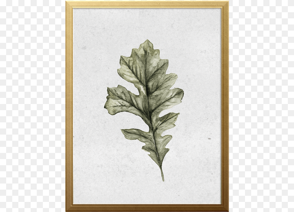 Oak Leaf Art Print Gambel Oak, Plant, Tree Free Png Download